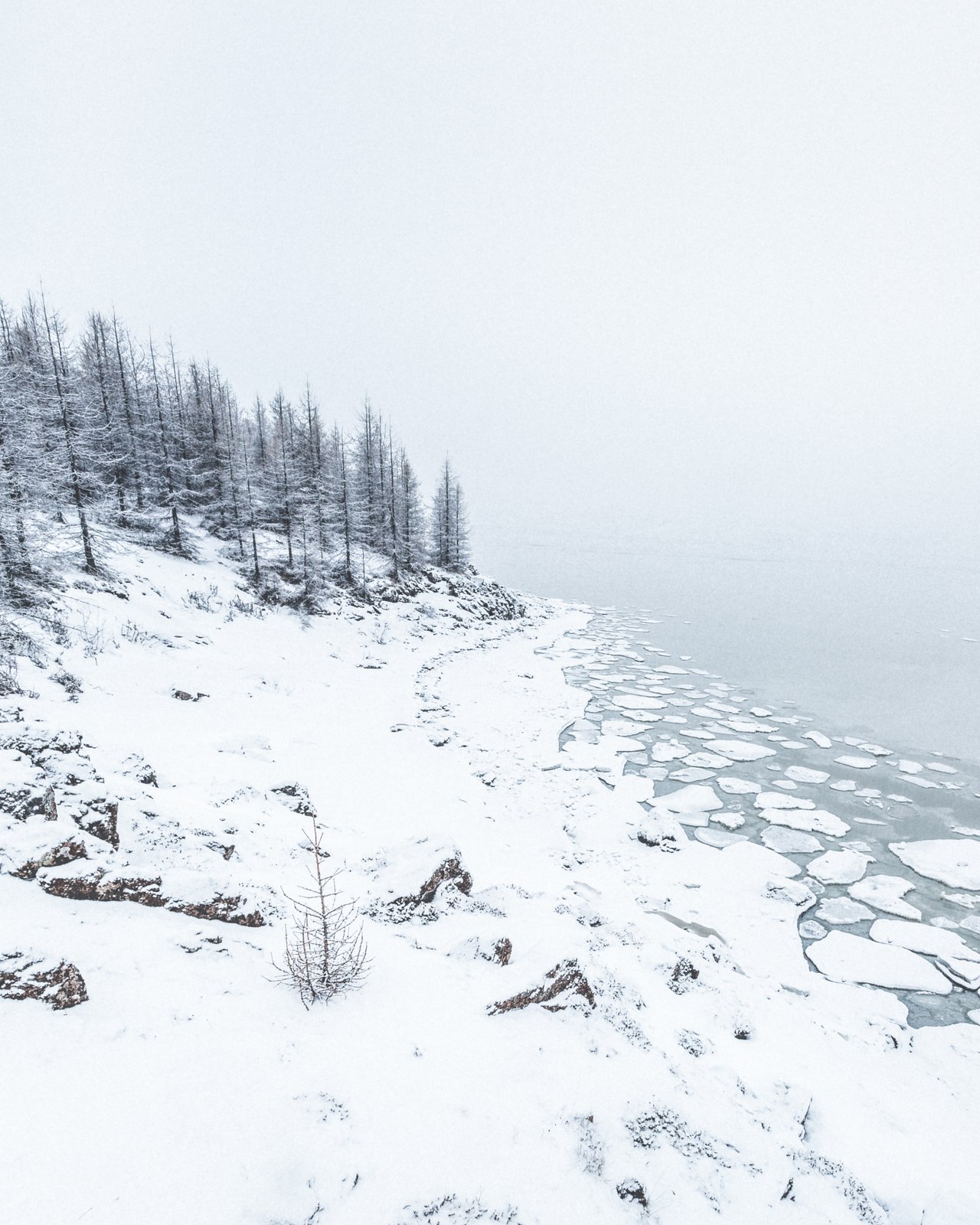 Skin during winter and colder season.