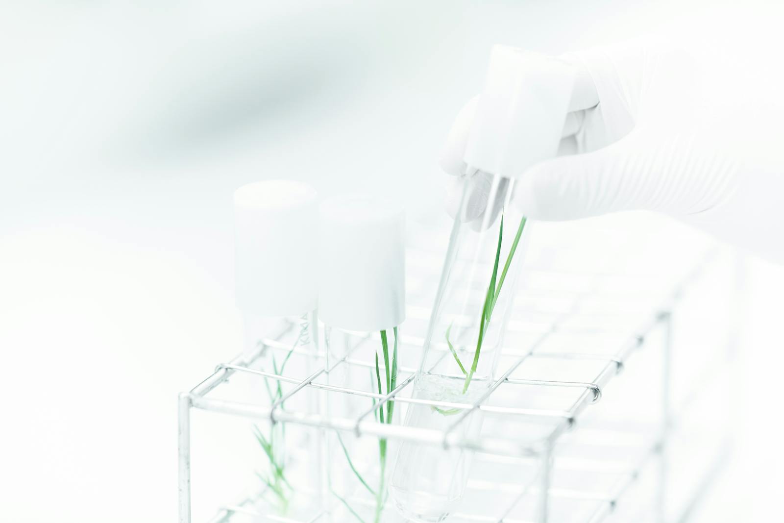 BIOEFFECT Scientist Harnessing the Power of Epidermal Growth Power for Age-Defying Skin.