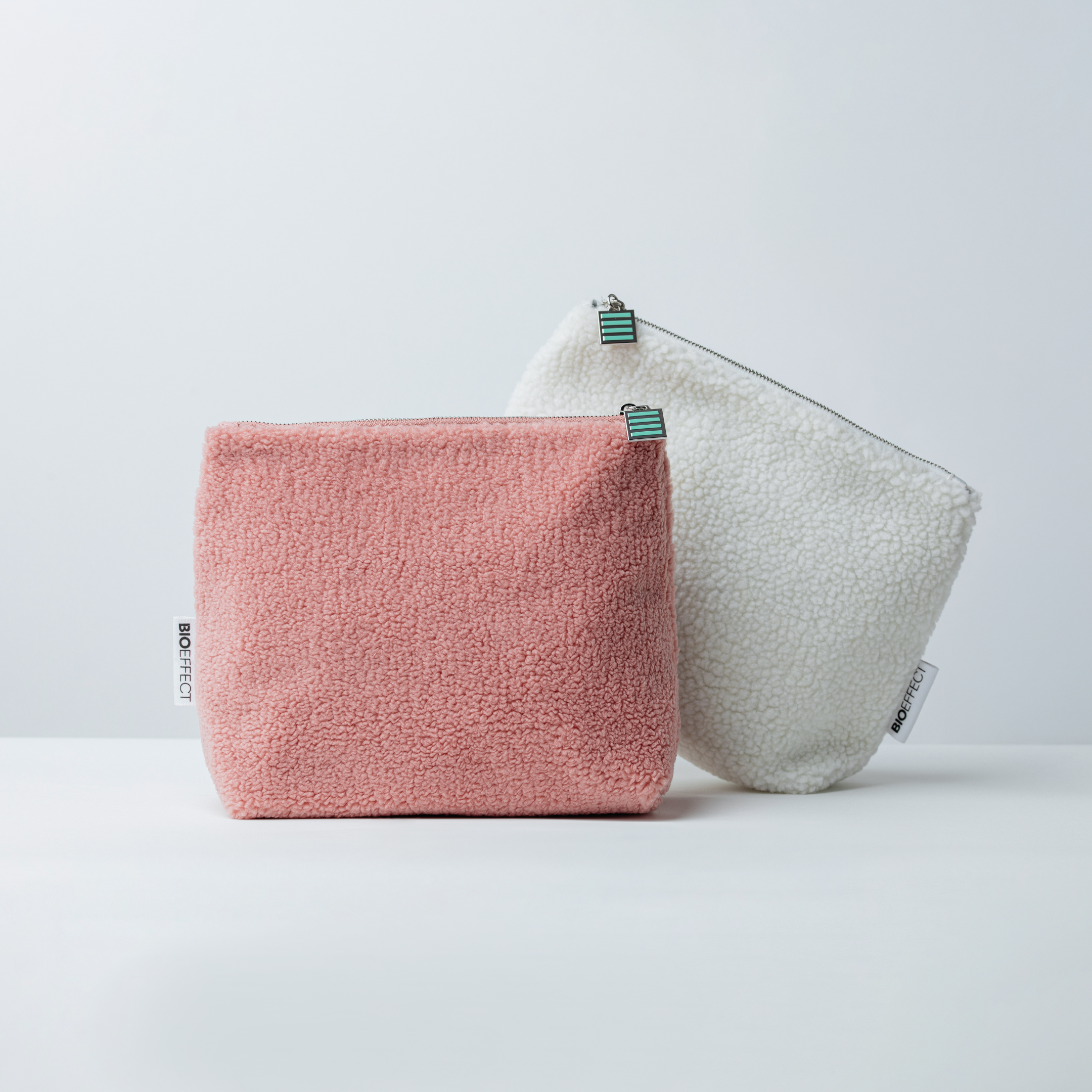 Teddy Bag 2