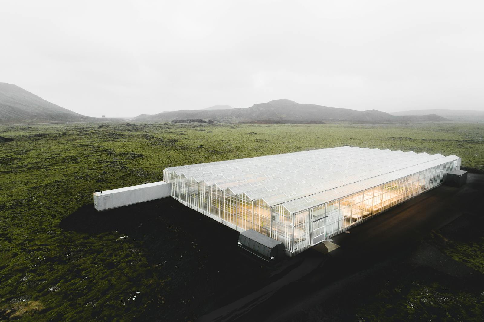 BIOEFFECT Skincare Greenhouse in an Icelandic Field .