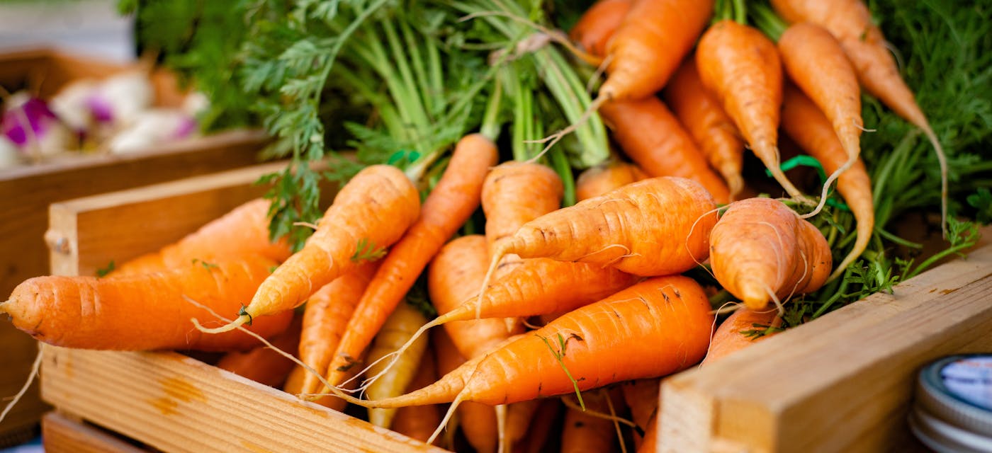 Falcarinol: El compuesto de la zanahoria con potencial anticancer