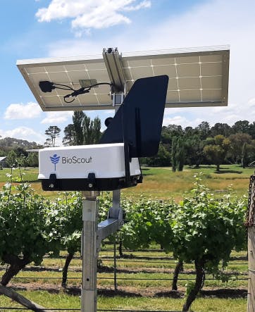 BioScout unit in a vineyard