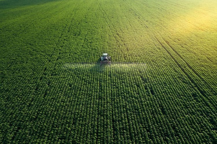 Early Detection of Airborne Plant Diseases
