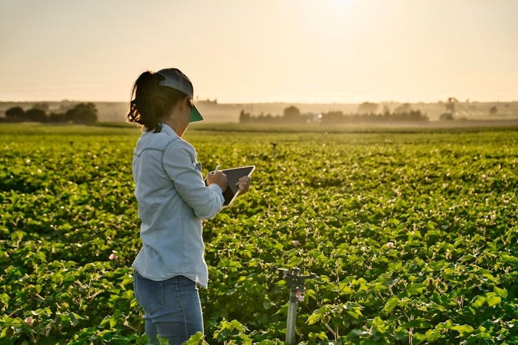 Debunking The Common Myths About AgriTech