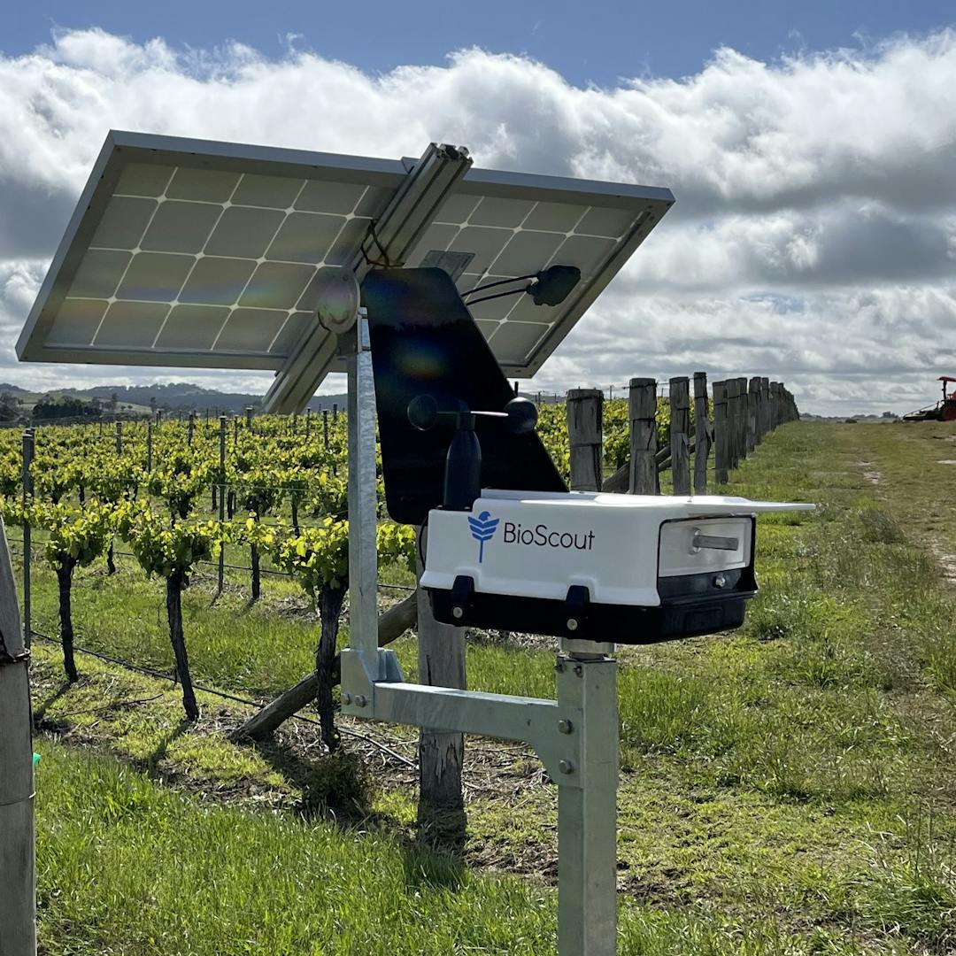 BioScout unit in New South Wales vineyard