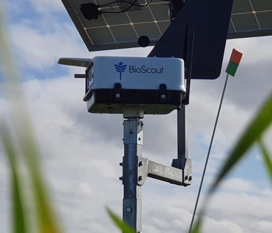 Picture of a BioScout Device