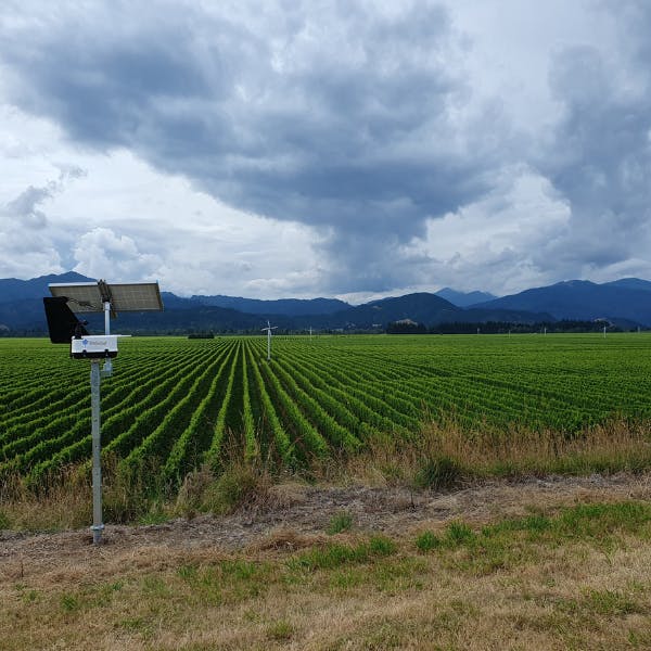 BioScout Units monitoring Delegat's Oyster Bay Vineyards