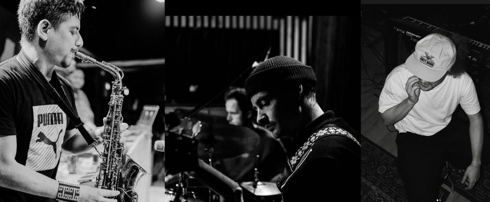 BIRDsessions