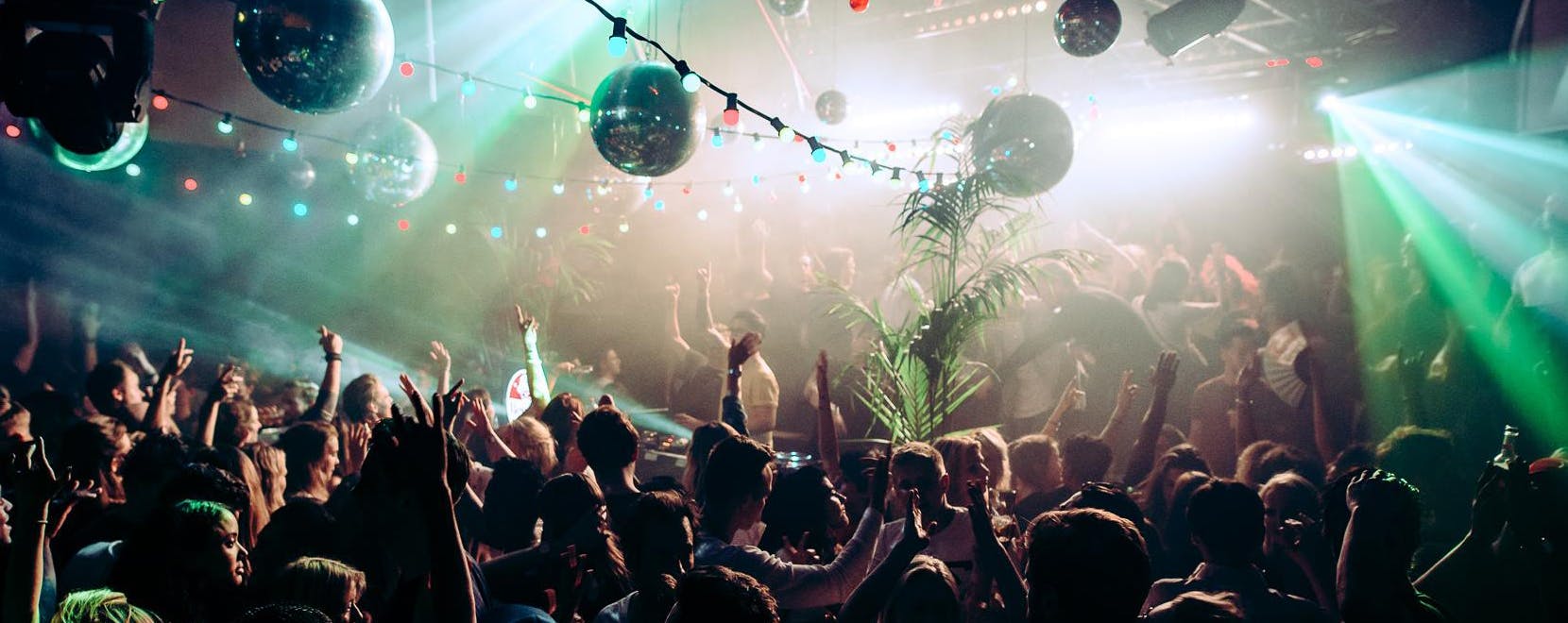 Rewind BIRD Rotterdam