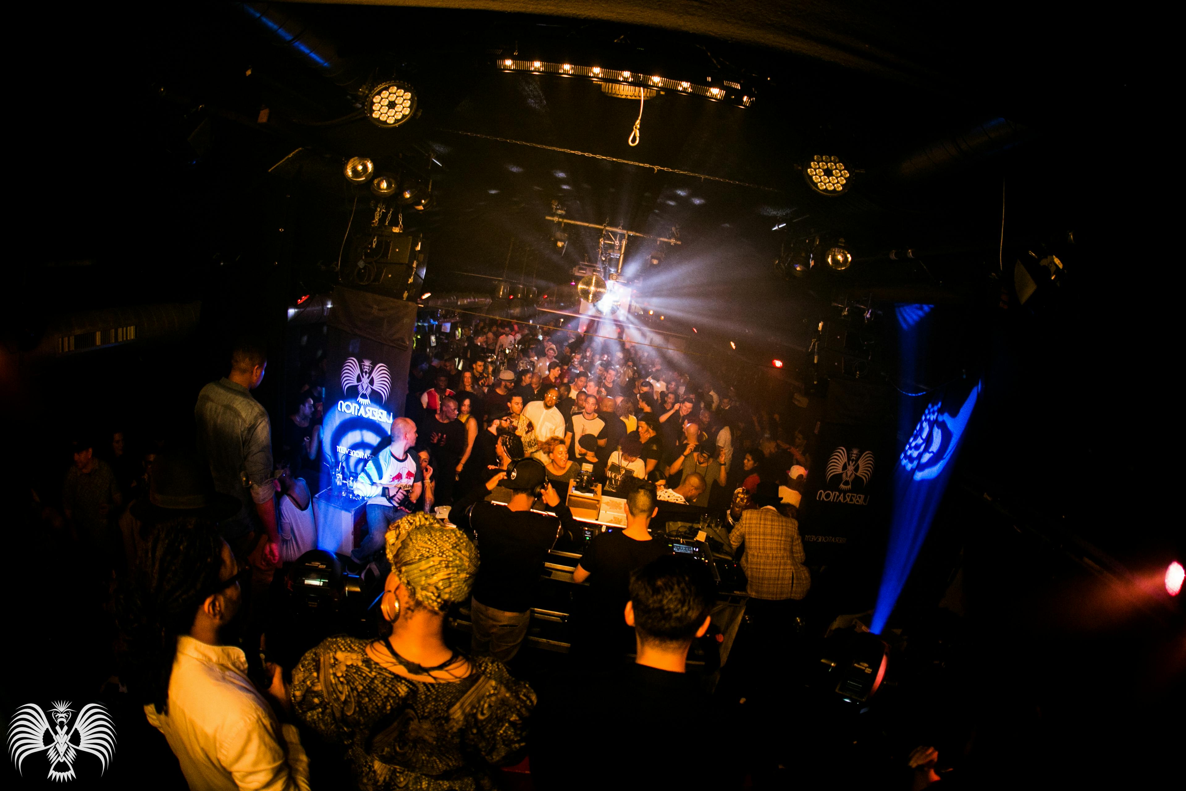 Liberation bird rotterdam