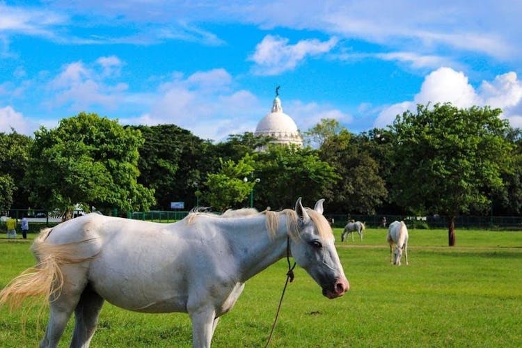 Maidan