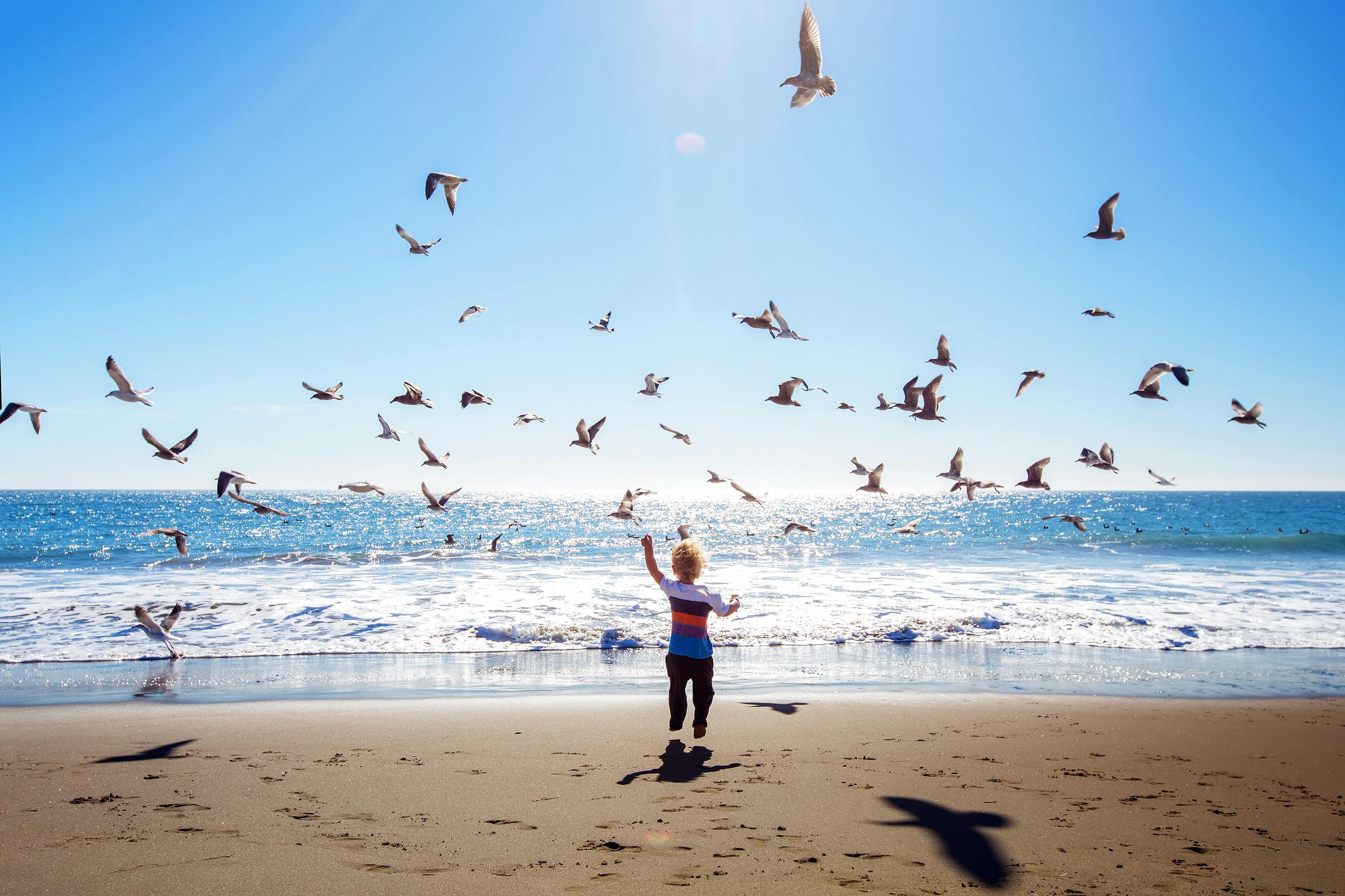 Child running with birds by the ocean.