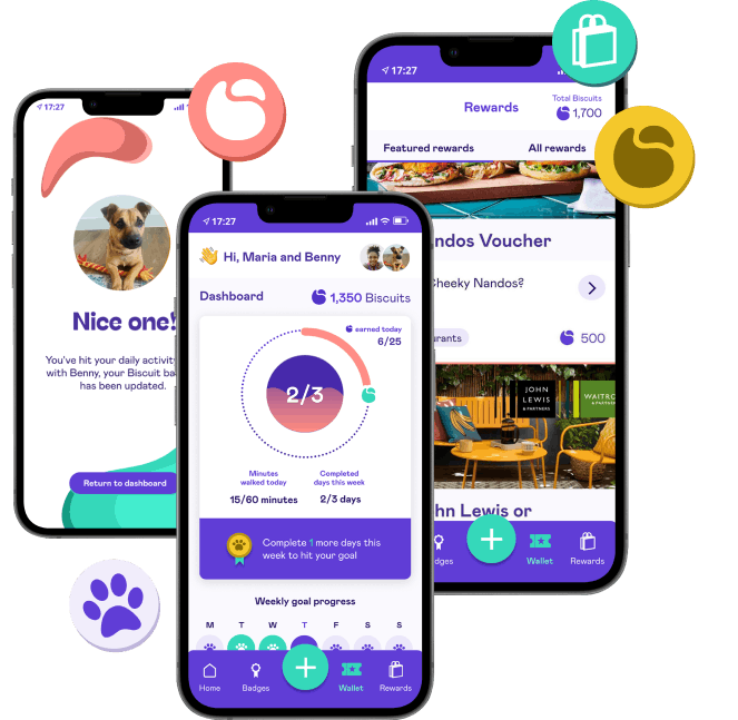 3 reasons to get the Biscuit app