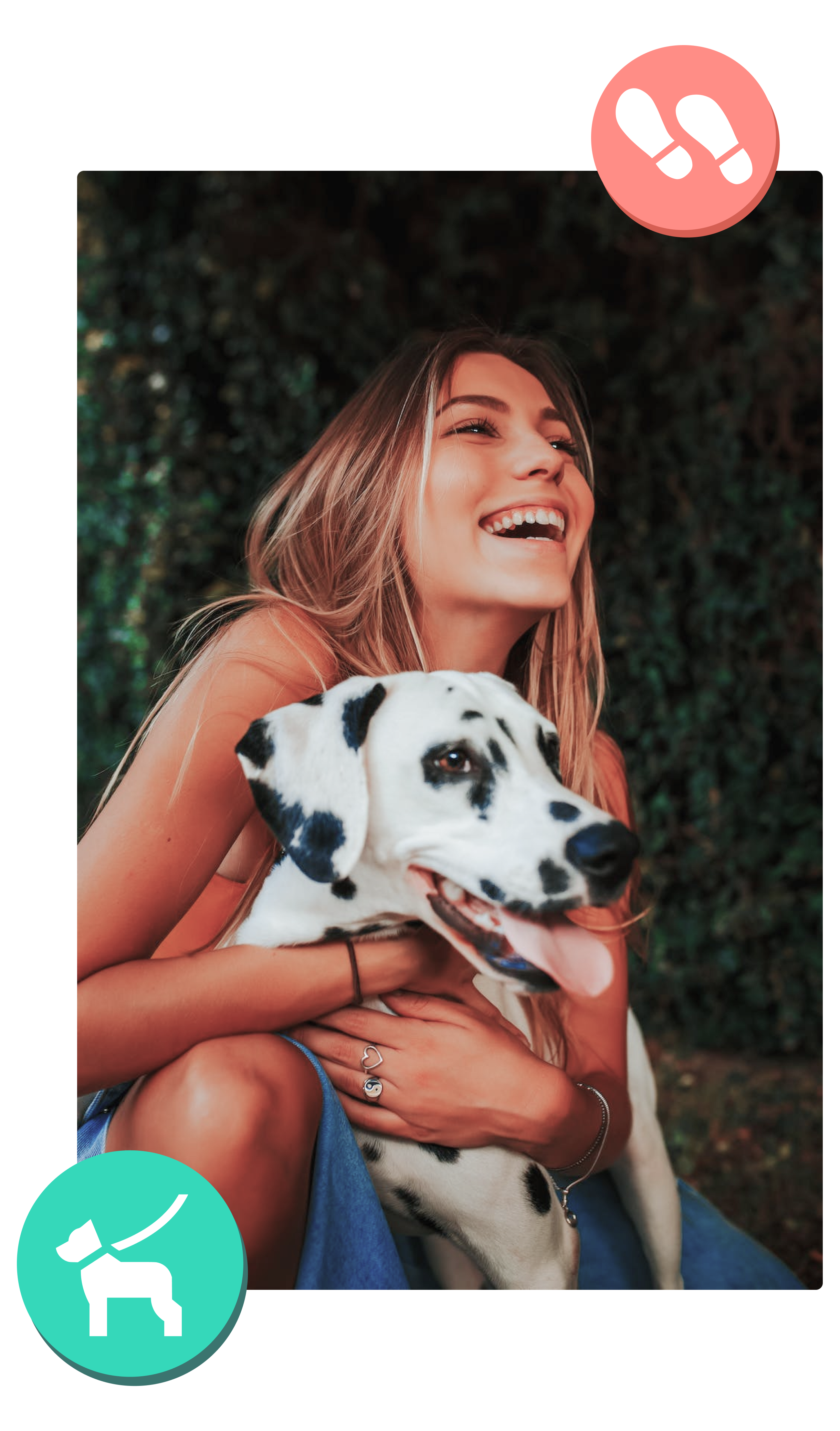 Biscuit Get rewarded for walking your dog Our story