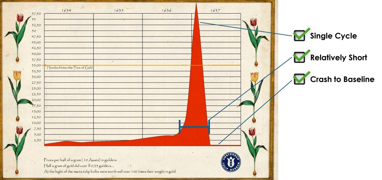 Graph depicting the Tulip Bubble.