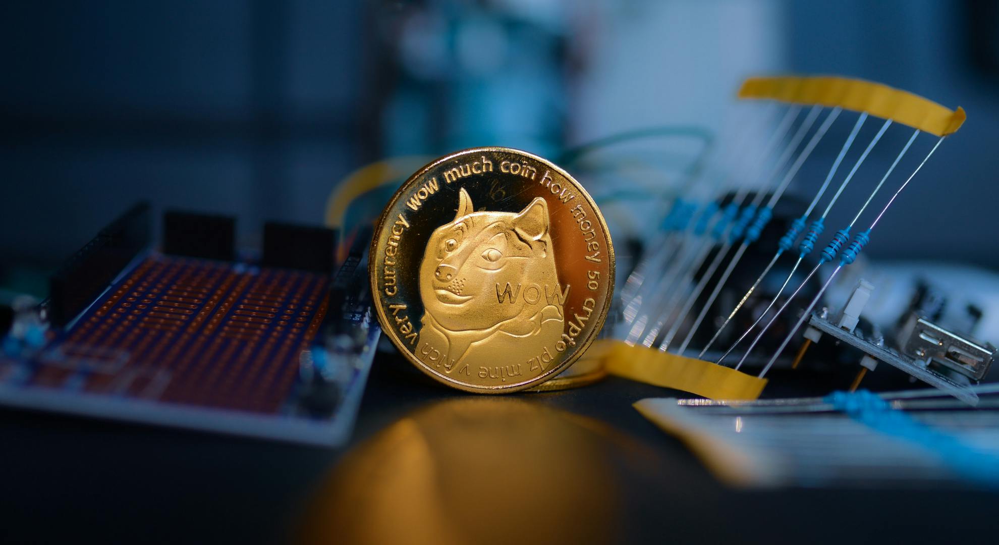 Hype Behind Dogecoin and Shiba Inu