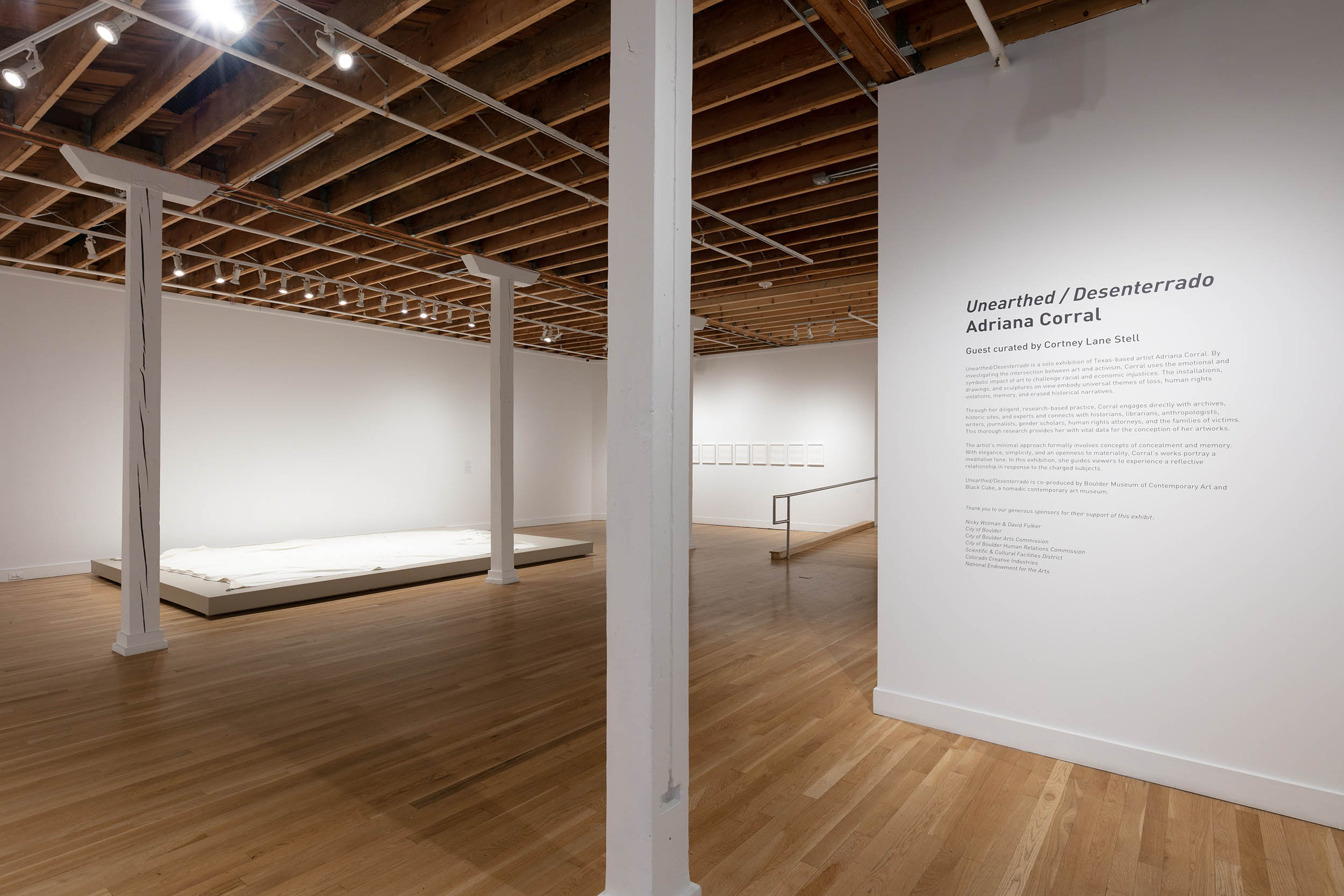 Adriana Corral, Unearthed/Desenterrado, 2019. Installed at the Boulder Museum of Contemporary Art. Courtesy of the artist and Black Cube. Photo: Wes Magyar.