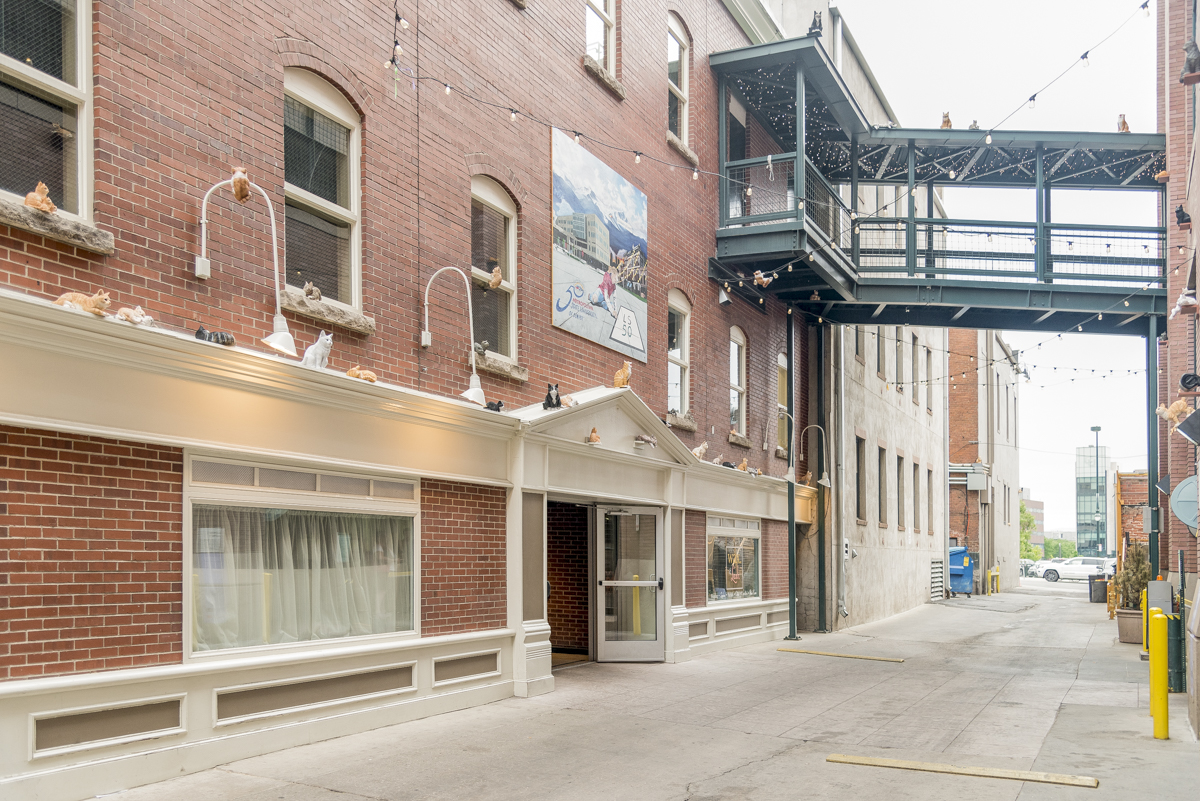 Courtesy of the artist and Black Cube. Photo by Third Dune Productions. 