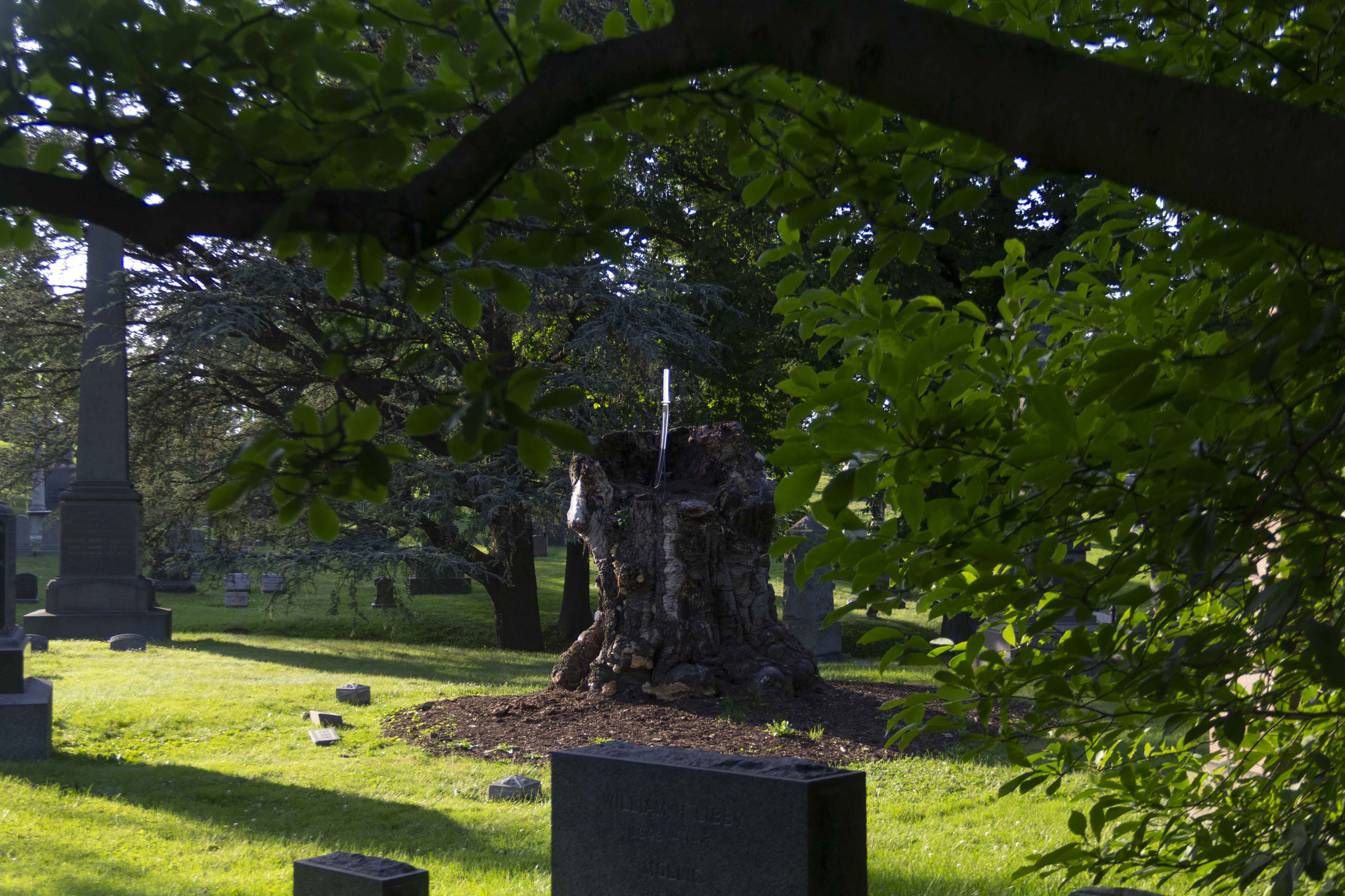 Image caption: Adam Milner, "Boyfriend’s Childhood Sword", 2018, glass. Exhibited at Green-Wood Cemetery, Brooklyn, NY.