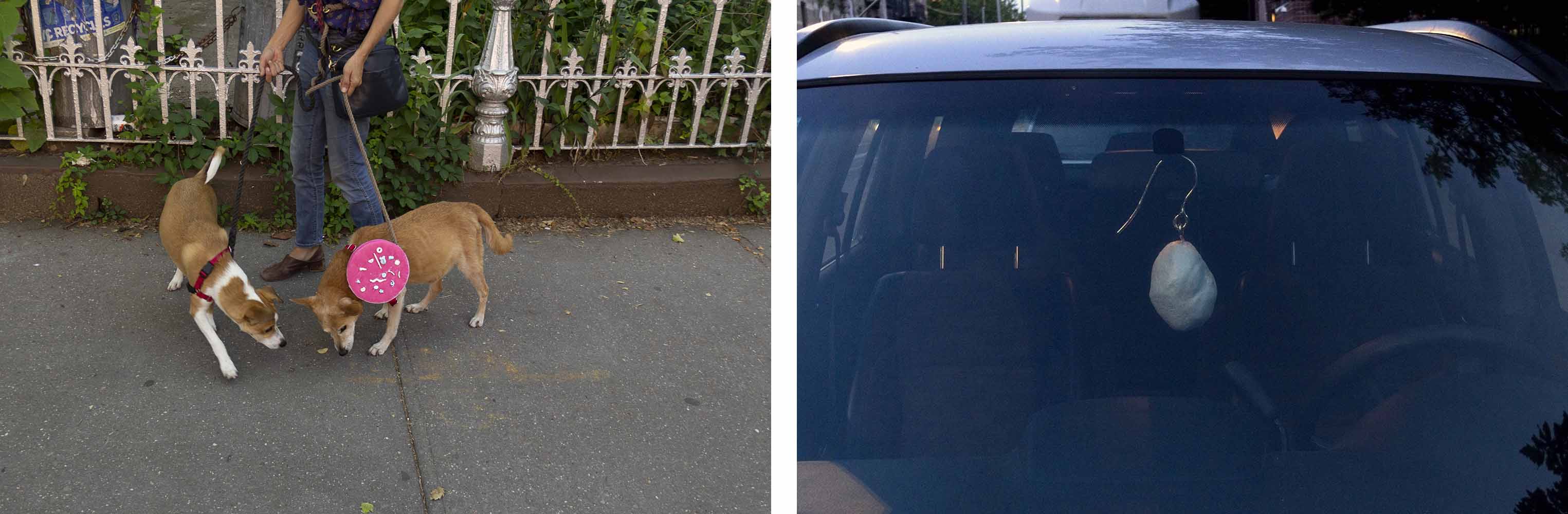 Image caption: [L]: Adam Milner, "Pink Cookie Museum Display", 2021. Exhibited at a dog named Oh Papa, Manhattan, NY. [R]: Adam Milner, "My New Earring!", 2021. Exhibited at Conor’s Car (2003 Silver Honda CRV), Brooklyn NY.