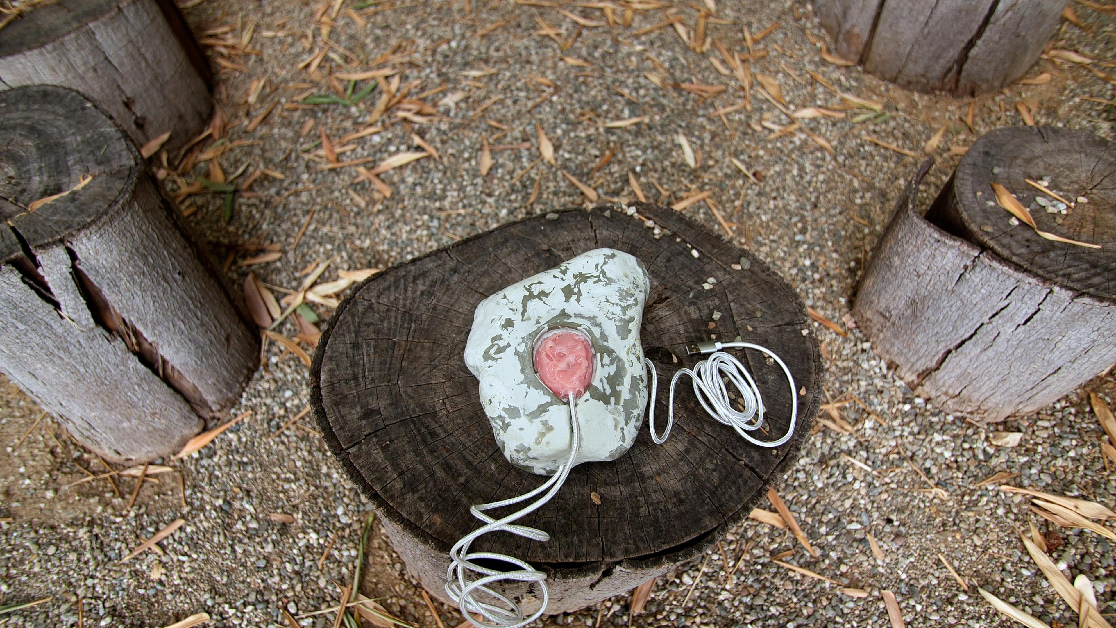 Nina Sarnelle, Bruxer, 2023. Audio playback device made of food-grade silicon, food dye, usb cables, audio player, transducer, epoxy putty, and wood box with velvet lining. Commissioned by Black Cube Nomadic Art Museum. Courtesy the artist.