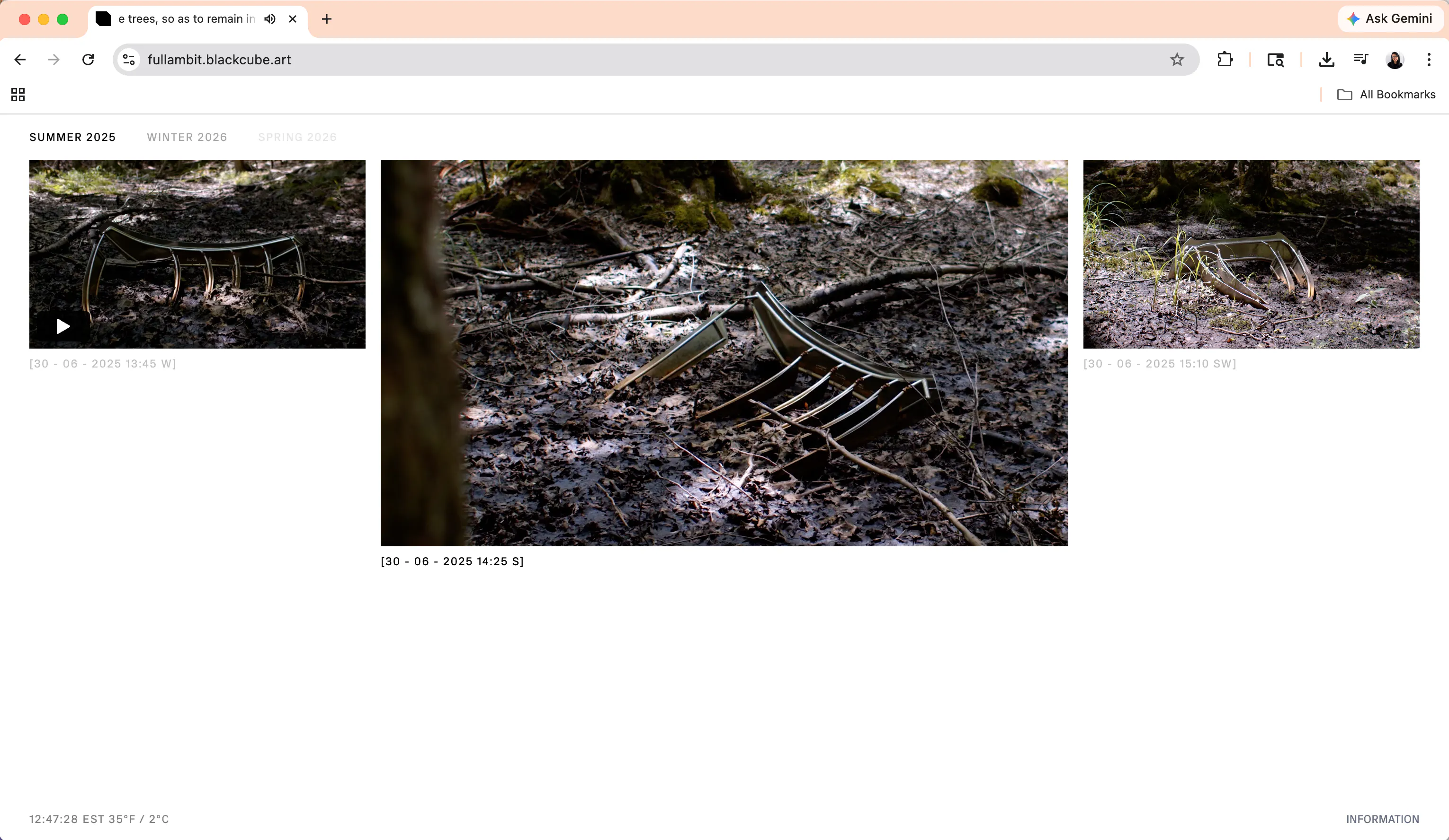Website for Rindon Johnson and Jordan Loeppky-Kolesnik, "Sitting a little way off, beyond the trees, so as to remain in the full ambit.", 2024—2029. Visit fullambit.blackcube.art.