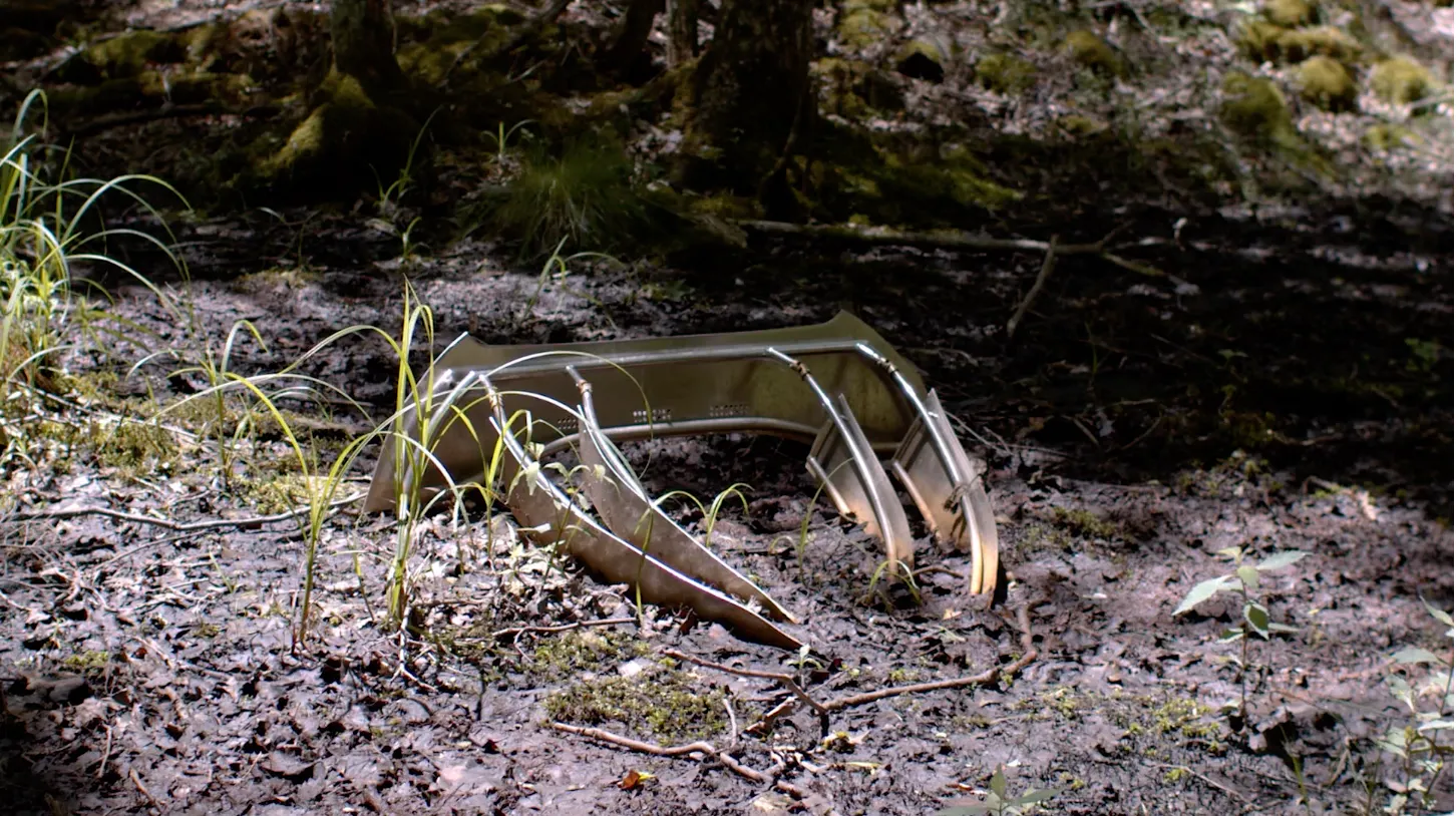 Rindon Johnson and Jordan Loeppky-Kolesnik, "Sitting a little way off, beyond the trees, so as to remain in the full ambit.", 2024—2029. Documentation from June 30, 2025. Saugerties, NY and online at fullambit.blackcube.art. Courtesy the artists and Black Cube.