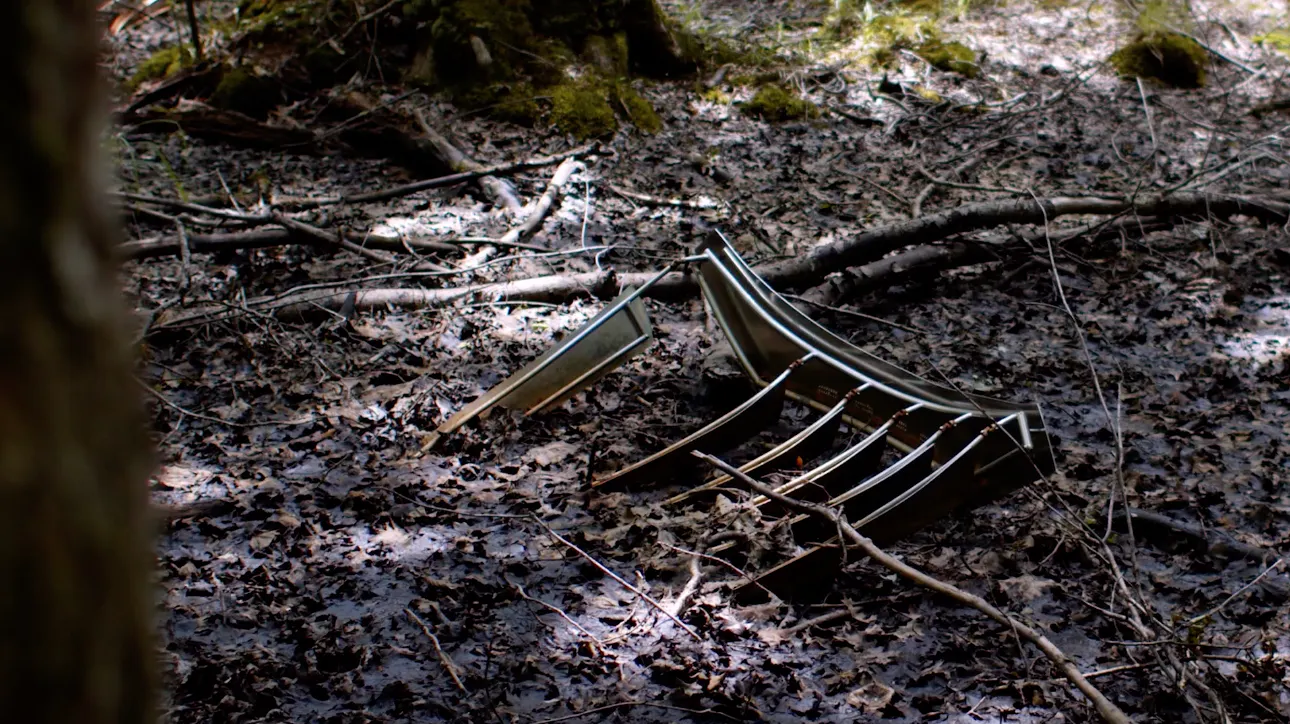 Rindon Johnson and Jordan Loeppky-Kolesnik, "Sitting a little way off, beyond the trees, so as to remain in the full ambit.", 2024—2029. Documentation from June 30, 2025. Saugerties, NY and online at fullambit.blackcube.art. Courtesy the artists and Black Cube.