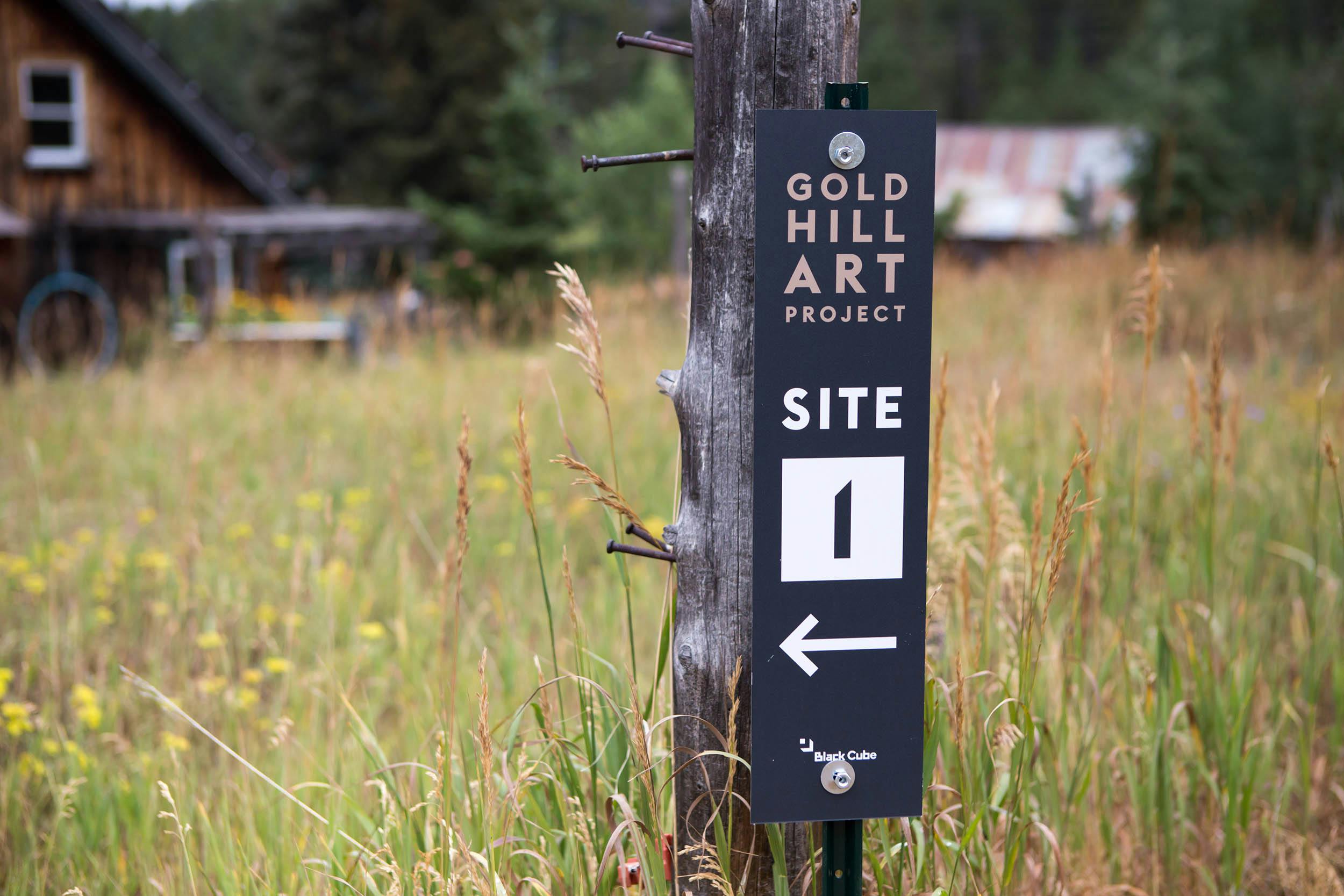 Gold Hill Art Project, 2016. Gold Hill, CO. Courtesy of the artist and Black Cube. Photos by Sara Ford. 