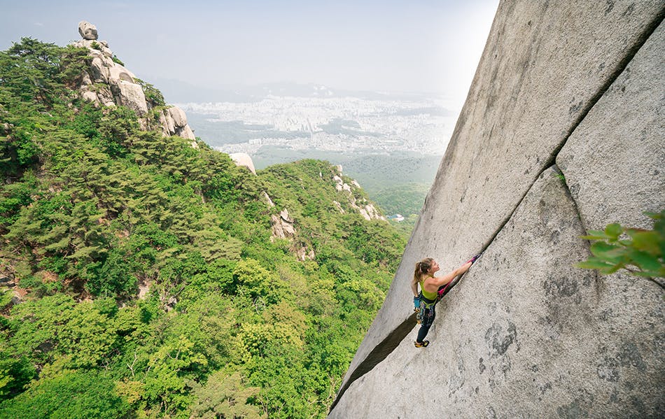 Elephant crack