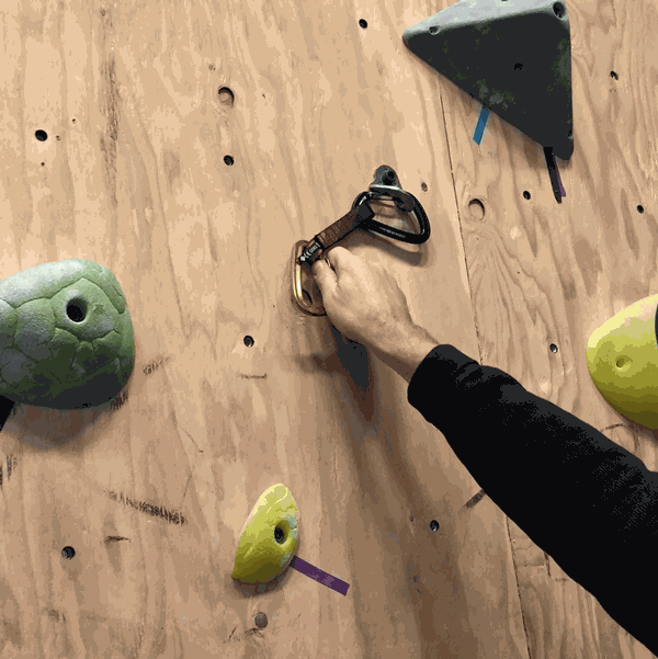 Animated GIF of a person pulling a quickdraw off a bolt in a rock climbing gym.