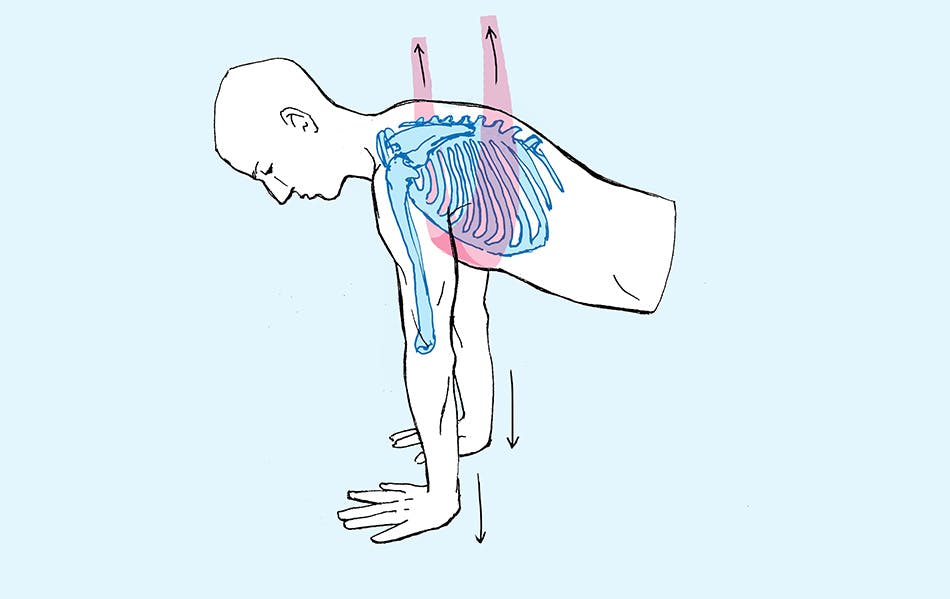 pushup form illustration