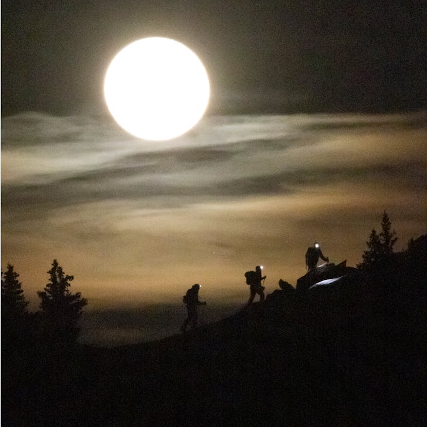 Un groupe de skieurs hors-piste voyage sous la lune avec leurs phares en diamant noir éclairant le chemin.