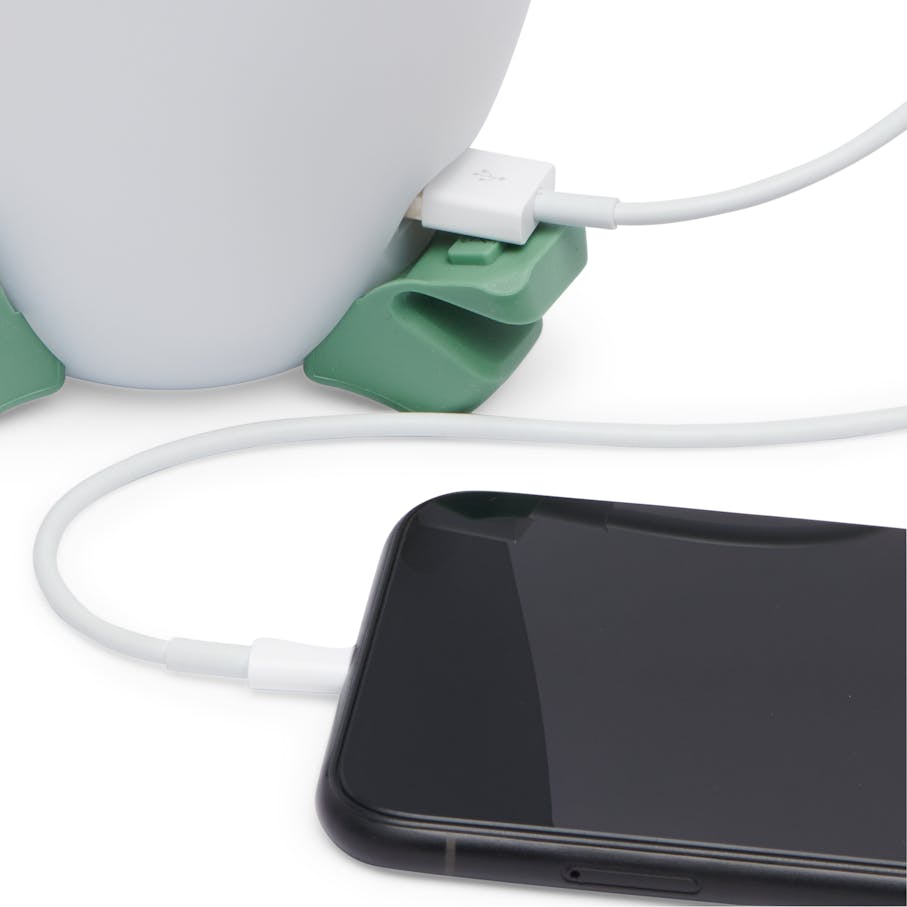 USB-A charge out port