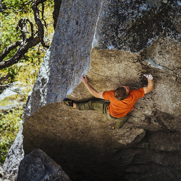 Nalle climbing an overhung boulder