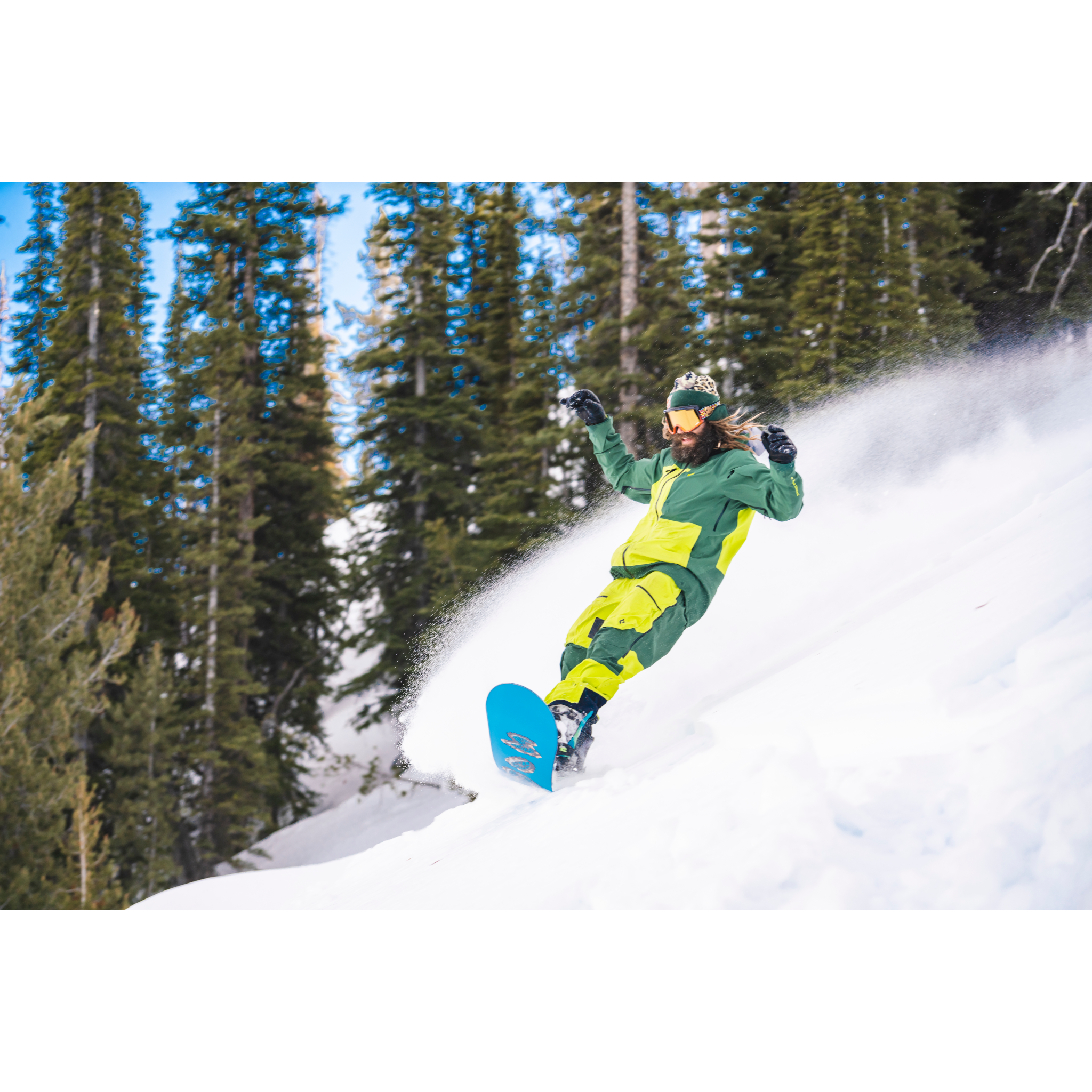 The John Jackson Collection