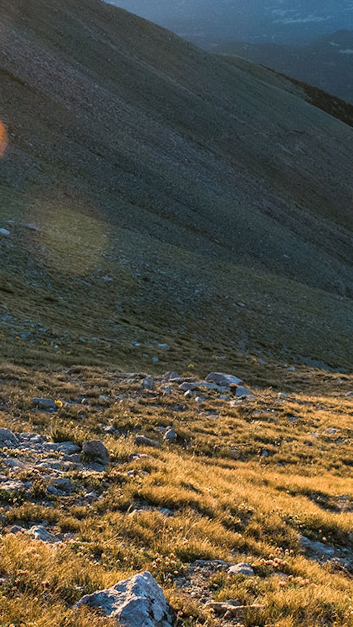 Joe Grant running
