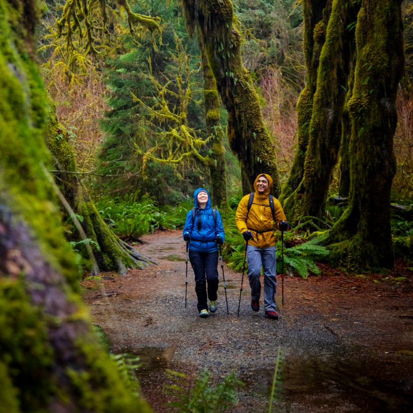 A pair of hikers walk in the forest with Black Diamond trekking poles and packs. 