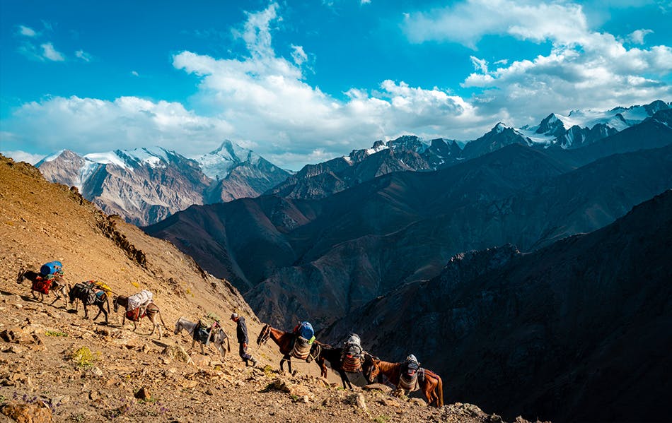 The team hiking up a mountain