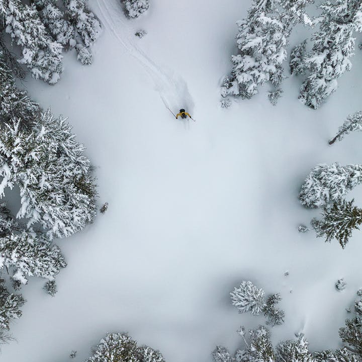 Black Diamond Athlete Tobin Seagel skiing in the trees of British Columbia. 