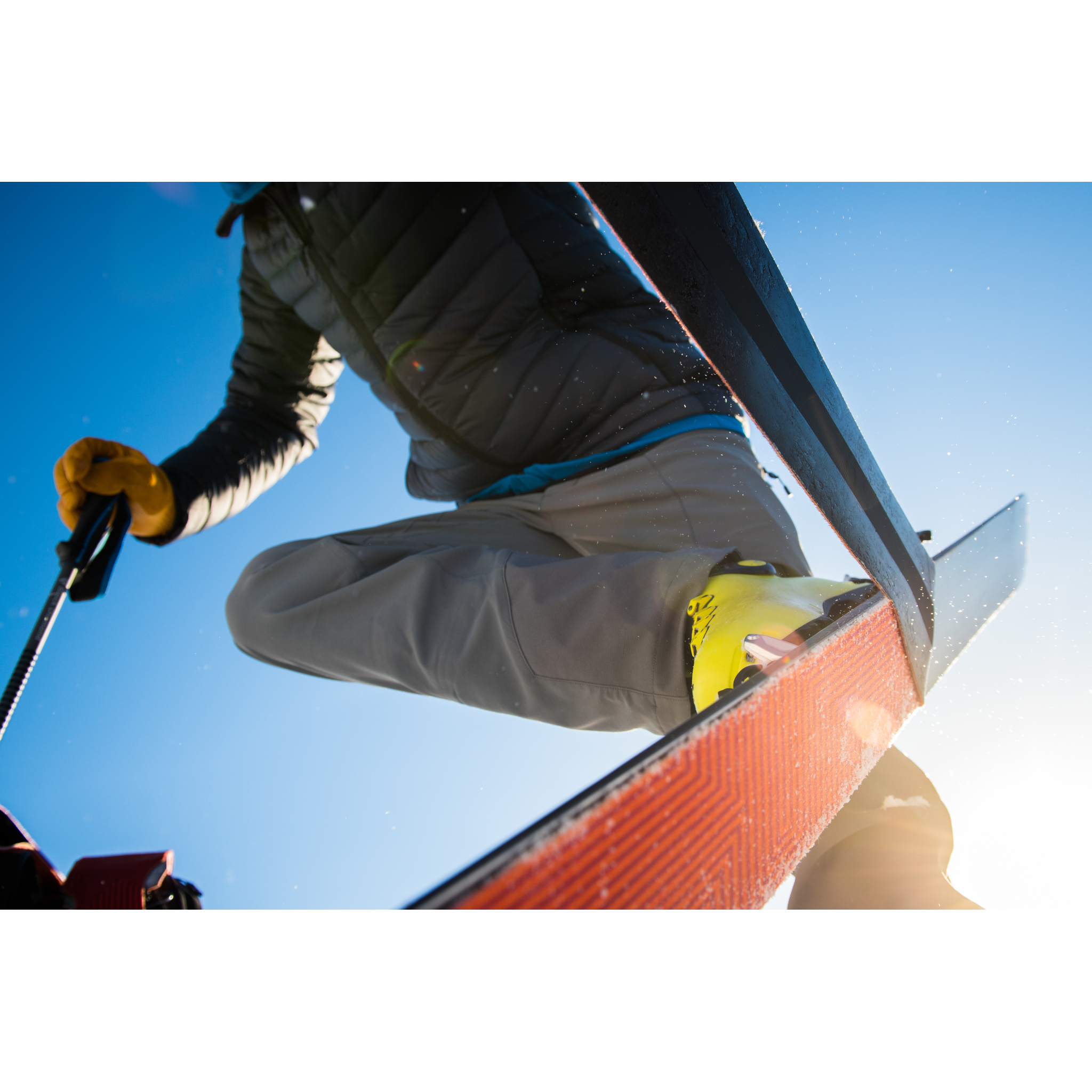 Ascension Nylon Climbing Skins Black Diamond® Ski Gear