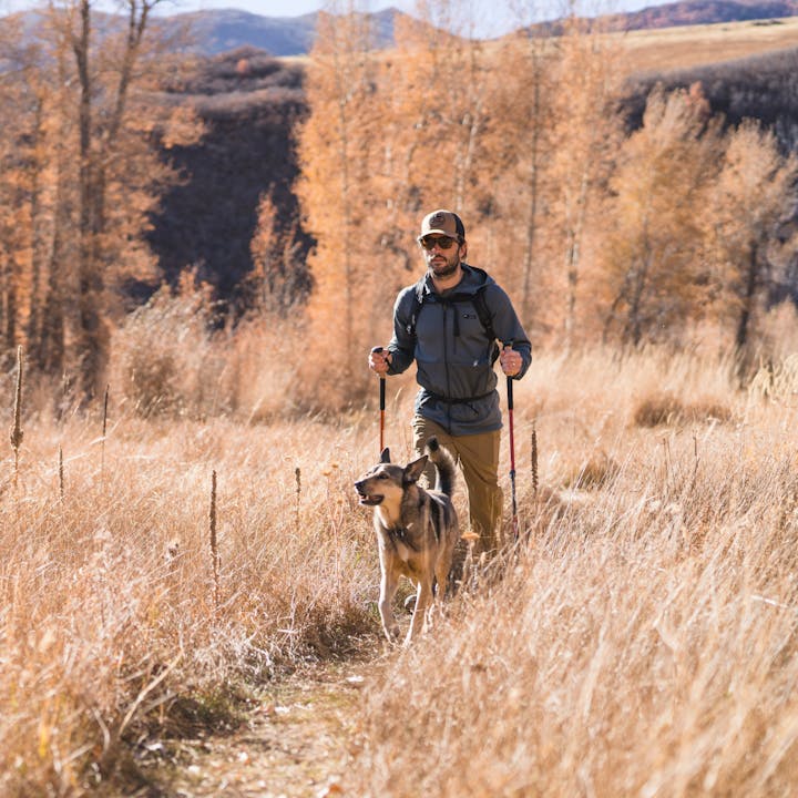 A person out for a hike with their dog in the Tetons wearing Black Diamond apparel. 