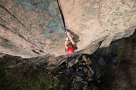 Hazel climbing