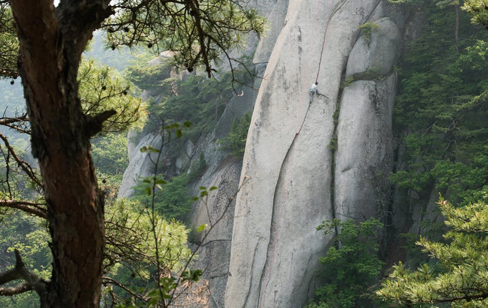 Elephant crack