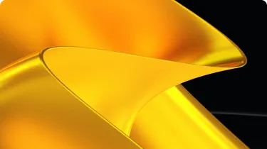 BlackLine Extends Your SAP Investment Brochure Image