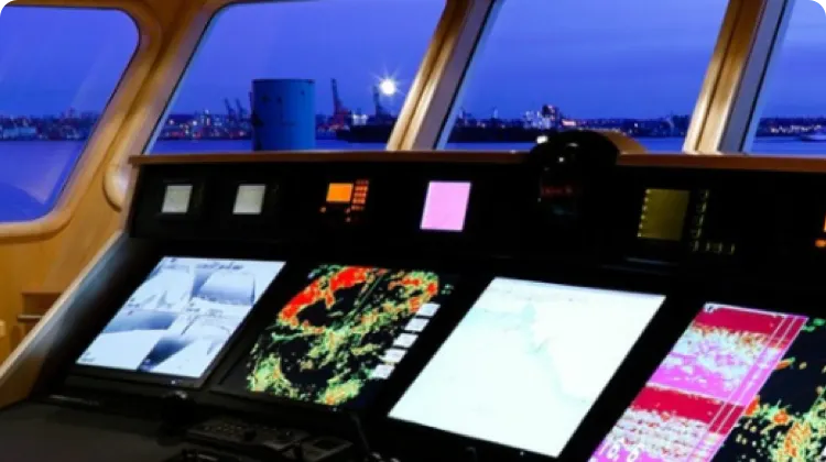 Closing the Books at a Distance: Financial Resilience During a Crisis