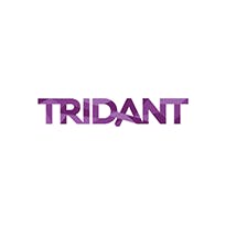 Tridant Logo | BlackLine Partner