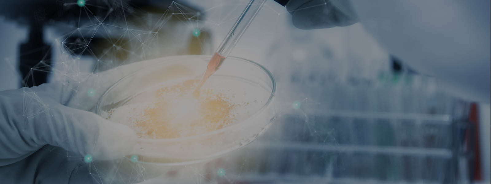 BlackLine On-Demand Webinar - Accounting Innovation for Biotech and Pharma