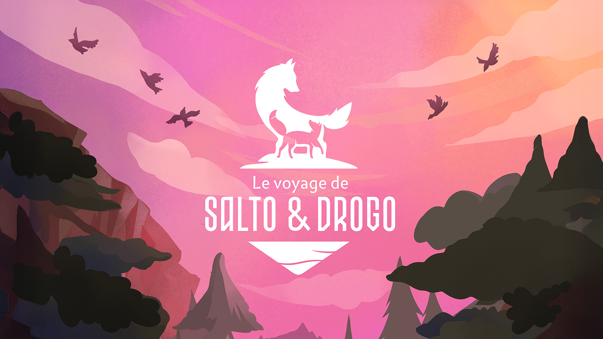 image principale du projet: Salto & Drogo