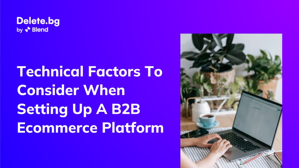 Factors To Consider When Setting Up A B2B Ecommerce Platform